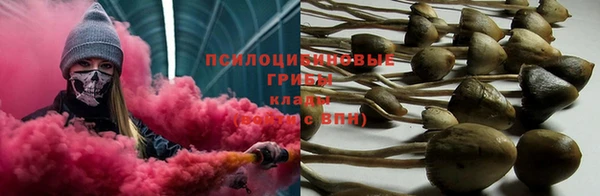 прущая мука Каменногорск