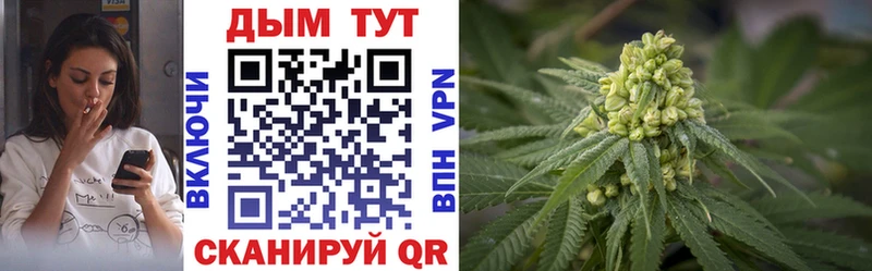 Бошки марихуана ГИДРОПОН  Купить  Гдов 